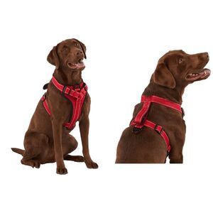 KONG MAX Neoprene Padded Handle Adjustable Red Dog Harness Size‎ Small